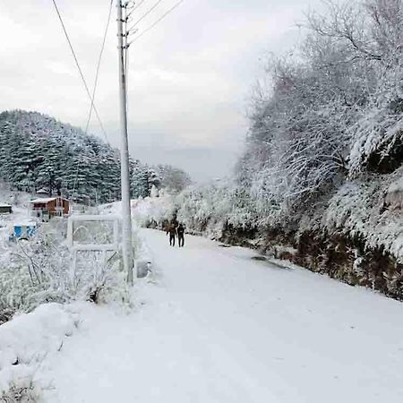 La Riqueza Dhanolti View # Near To Eco Park & Surkanda Devi Temple # Mountain View Rooms With Balcony # Big Parking # Customer Favourite Hotel Dhanaulti Exterior photo